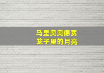 马里奥奥德赛 笼子里的月亮